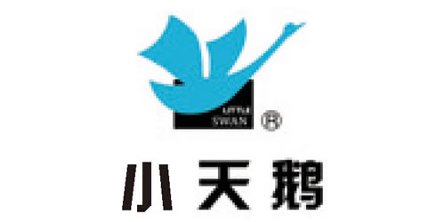 小天鹅